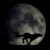 Full Moon, Moon at 14 days in cycle Full Moon, Moon at 14 days in cycle