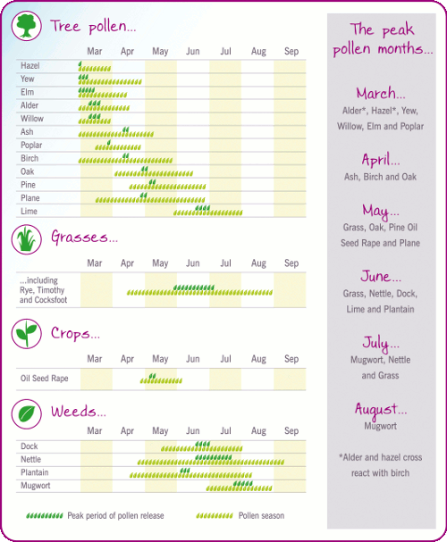 Pollen Count Chart