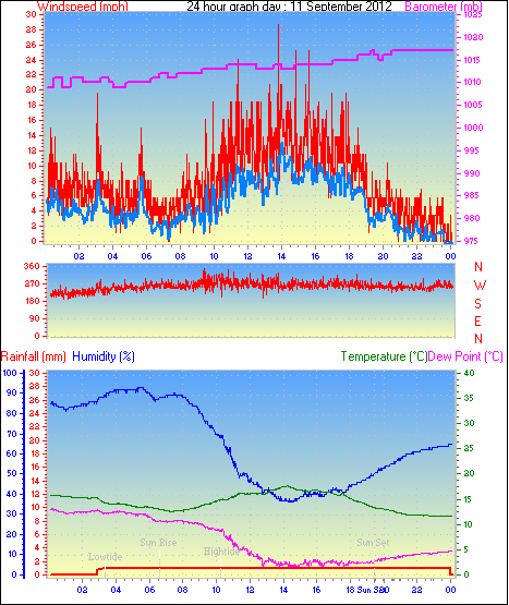 24 Hour Graph for Day 11