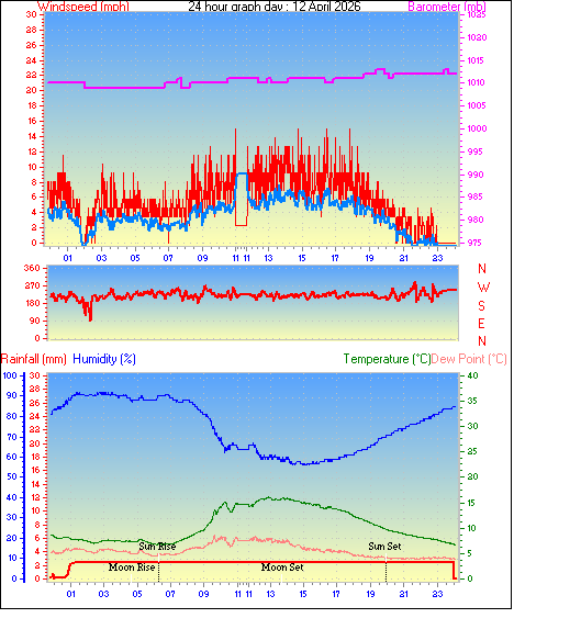 24 Hour Graph for Day 12