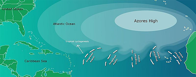 Tropical Waves